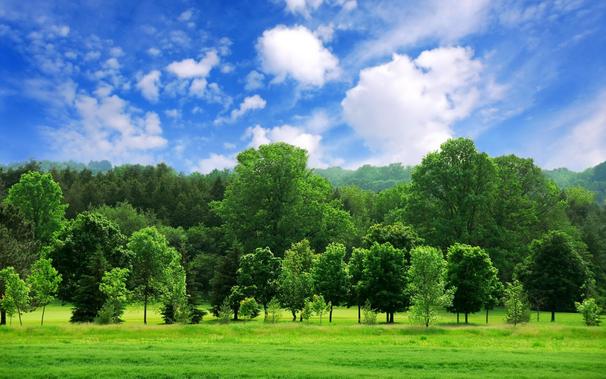 A picture of nature with green grass, tree lines and a partially cloudy blue sky.