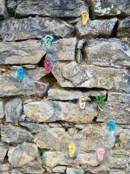 Coloured ceramic ears attached to an old stone wall.