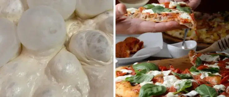 impasto della pizza romana