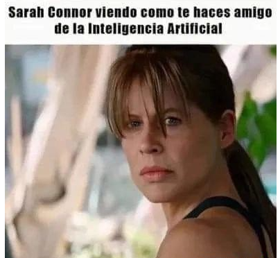 Meme. Sarah Connor (Terminator) mira fijamente a cámara, con cara de pocos amigos. Se lee: "Sarah Connor viendo cómo te haces amigo de la inteligencia artificial".