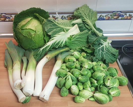 Contenido de la cesta de la semana sobre una encimera de cocina.
Delante, a la izquierda puerros y a la derecha coles de Bruselas.
Detrás, un repollo y hojas de berza Asa de Cántaro.