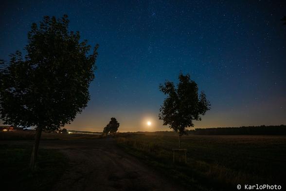 Two trees under a starry sky, with the moon in the background.