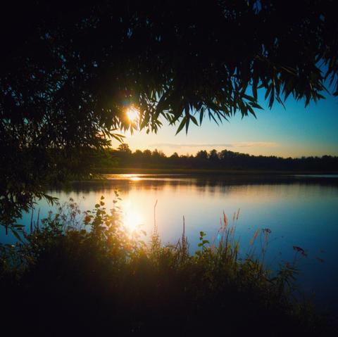 Finnish lake scenery with the sun shining through trees
