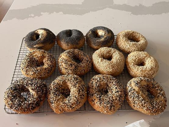 A cooling rack is filled with freshly baked bagels topped with various seeds.