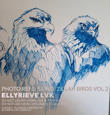 Drawings of birds of prey done in teal blue fountain pen ink. photo refs by Satine Zillah, sketches by Ellyrieve LVK. All rights reserved