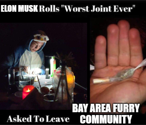 Elon Musk rolls "Worst Joint Ever" asked to leave Bay Area Furry Community meme: depicting Elon Musk in a blue owl onesie rolling a joint, and a picture of the joint afterward which looks like a homemade caramel wrapped in wax paper by somebody with dementia.