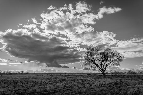 Black and white photograph showing a field with a tree on the right and a large cloud above it which some kind of light from the sunset can be seen behind the cloud.