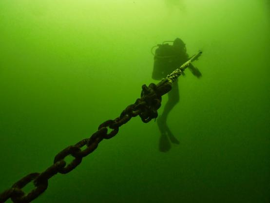 Scuba diver on a safety stop