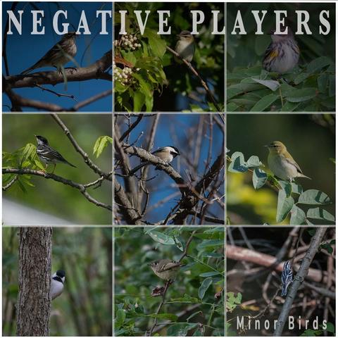 album cover, grid of birds