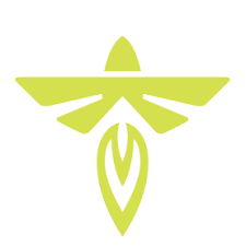 Firefly Aerospace Logo