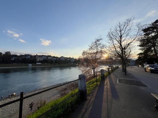 River through a city during sunset. Blooming tree in the foreground.