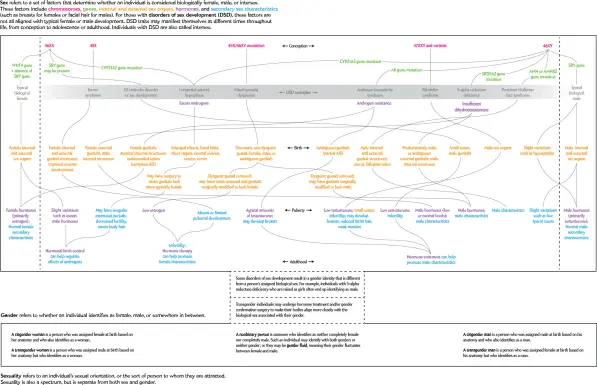 illustration by the Scientific American showing how biological sex is a SPECTRUM.