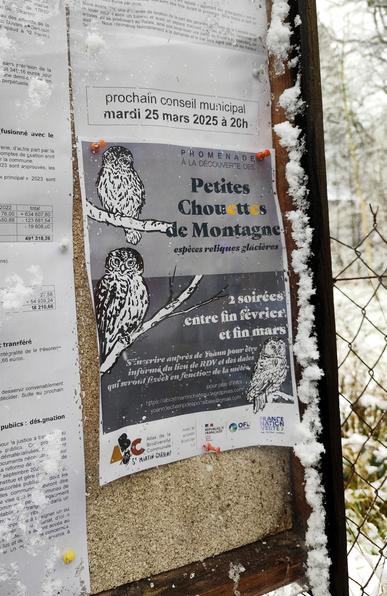 Photo de l'affiche "promenade à la découverte des petites chouettes de montagne" dans le cadre de l'Atlas de la biodiversité communale de St Martin Château, placardée sur un panneau municipal enneigé.