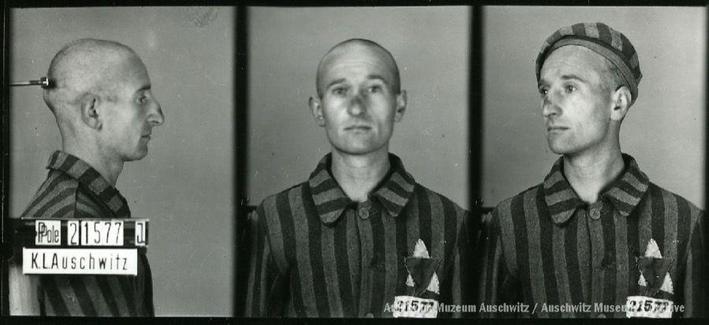 A mugshot registration photograph from Auschwitz. A man with a shaved head wearing a striped uniform photographed in three positions (profile and front with bare head and a photo with a slightly turned head with a hat on). The prisoner number is visible on a marking board on the left.