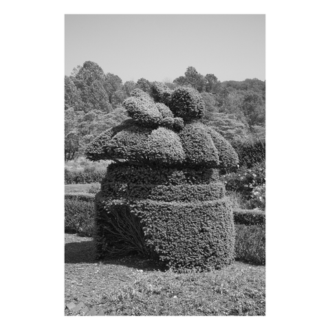 topiary shrub consisting of several bulbous volumes on top and a cylinder at bottom