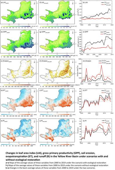 maps & charts - Changes in leaf area index (LAI), gross primary productivity (GPP), soil erosion, evapotranspiration (ET), and runoff (R) in the Yellow River Basin under scenarios with and without ecological restoration