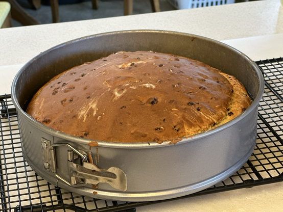 Fresh baked soda bread in spring form