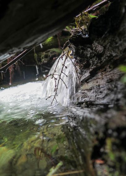 This image shows a small waterfall or stream flowing over rocks, with clear water and some vegetation, including small branches, visible near the water's edge. The perspective is close to the water level, creating a natural and serene scene.