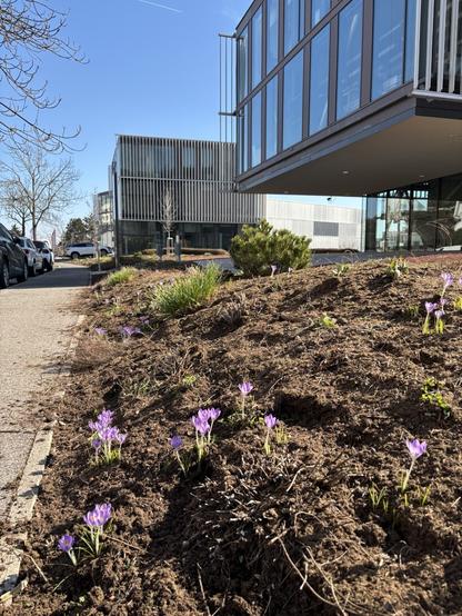 Spring on campus