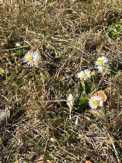 Spring on campus