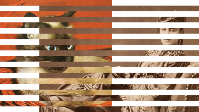 collage featuring a cat and a woman