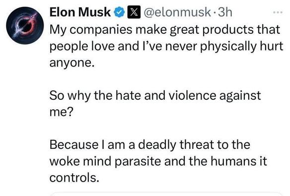 A tweet from Elon Musk (@elonmusk) that reads:
**"My companies make great products that people love and I’ve never physically hurt anyone.

So why the hate and violence against me?

Because I am a deadly threat to the woke mind parasite and the humans it controls."**
