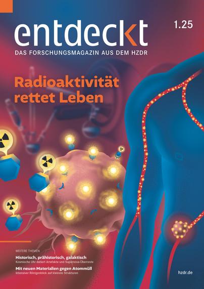 Cover des HZDR-Forschungsmagazins "entdeckt", Ausgabe 01/2025, mit dem Titel "Radioaktivität rettet leben". Das Titelbild zeigt, wie mit radioaktiven Stoffen markierte Substanzen, sogenannte Radiotracer, durch die Blutbahn zum Tumor transportiert werden und dort an Krebszellen andocken.
Bild: HZDR/blrck.de