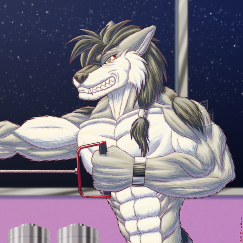 muscular anthro malamute working out