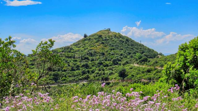Aquesta imatge mostra una vista panoràmica d'un turó cobert de vegetació verda exuberant sota un cel blau brillant. El turó està esquitxat d'arbres i arbustos, i hi ha un camí sinuós que serpenteja pels vessants. Al cim del turó hi ha una petita estructura, possiblement un mirador o una torre de vigilància. Al primer pla hi ha una franja de flors silvestres de color rosa porpra que afegeixen un toc vibrant a l'escena.