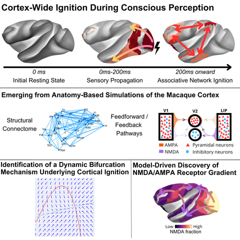 Graphical abstract