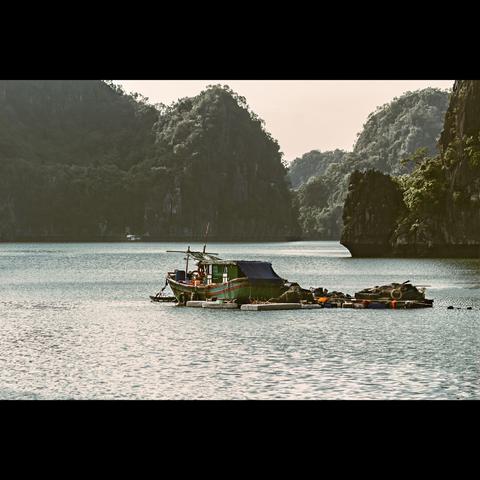 Fisherman boat on the sea, in the Halong Bay , Vietnam
Photography in color