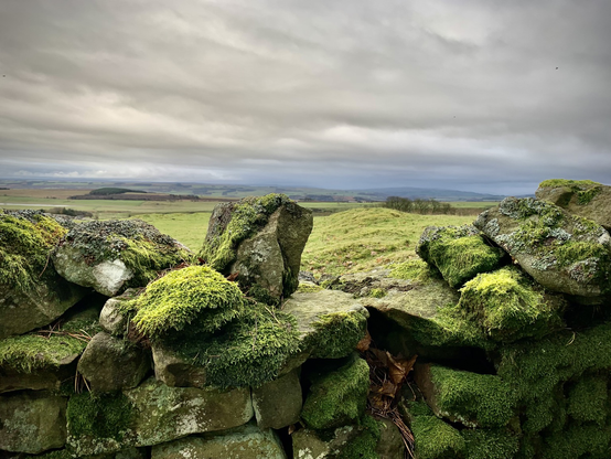 A windswept wall in a magnificent landscape with moss