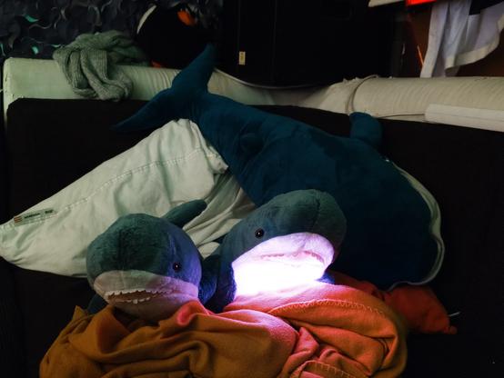 A group of plush sharks on a Sofa, one of which is glowing