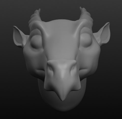 The same model but pictured from the front, to see her muzzle in perspective.