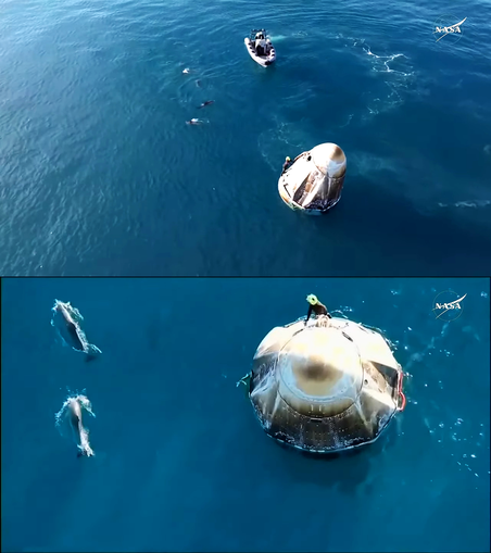 2 stills from the webcast with aerial views from a drone of the capsule and a pod of dolphins swimming next to it.