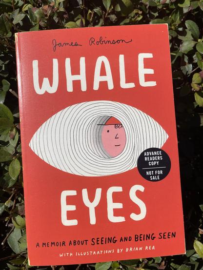 Whale Eyes: A Memoir About Seeing and Being Seen
James Robinson
Brian Rea
Penguin Workshop
Publication date : March 18, 2025
304 pages, Hardcover