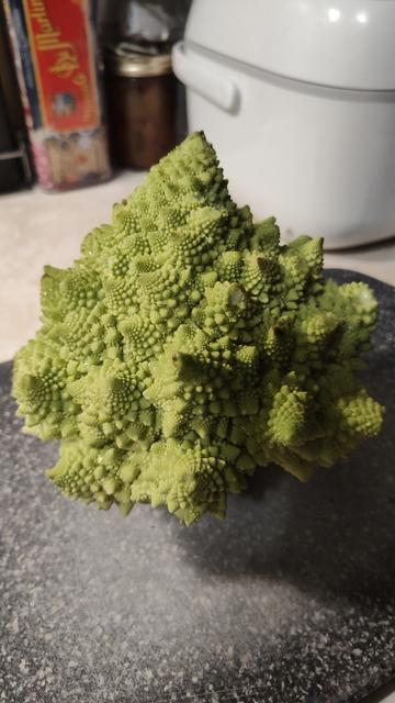 A green romanesco cauliflower. It looks like a fractal given physical form.