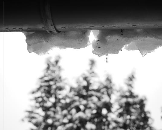 The image shows snow and ice hanging under a gutter with some icicles forming. In the blurred background, you can see snow-covered trees, indicating a winter setting. The photo is in black and white.