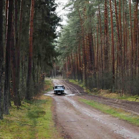 The image shows a forest scene with a dirt road running through it. A vehicle is driving along the road, navigating through a puddle of water. Tall trees line both sides of the road, creating a dense woodland setting.