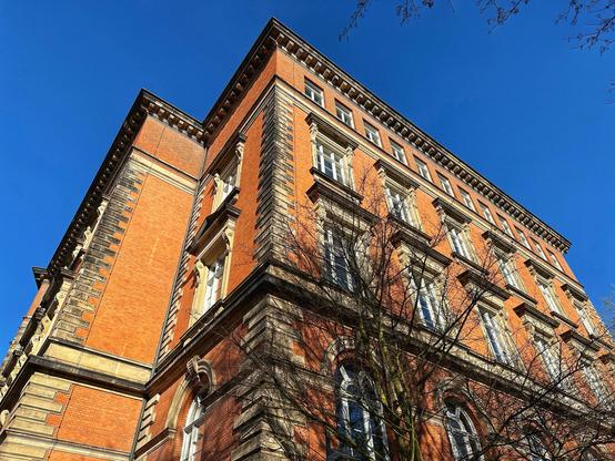 Ein historisches Backsteingebäude mit kunstvollen architektonischen Details, aus einem niedrigen Winkel vor einem klaren blauen Himmel betrachtet. Schatten von Bäumen in der Nähe sind im Vordergrund sichtbar.