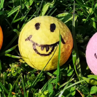 Im Gras vor uns liegen bunte Golfbälle, die alle ein Smilygesicht aufgemalt bekommen haben