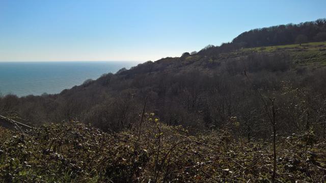 A #WoodedParkland of #OutstandingNaturalBeauty