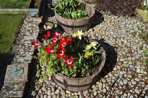 #IT's #Still #SpringTime