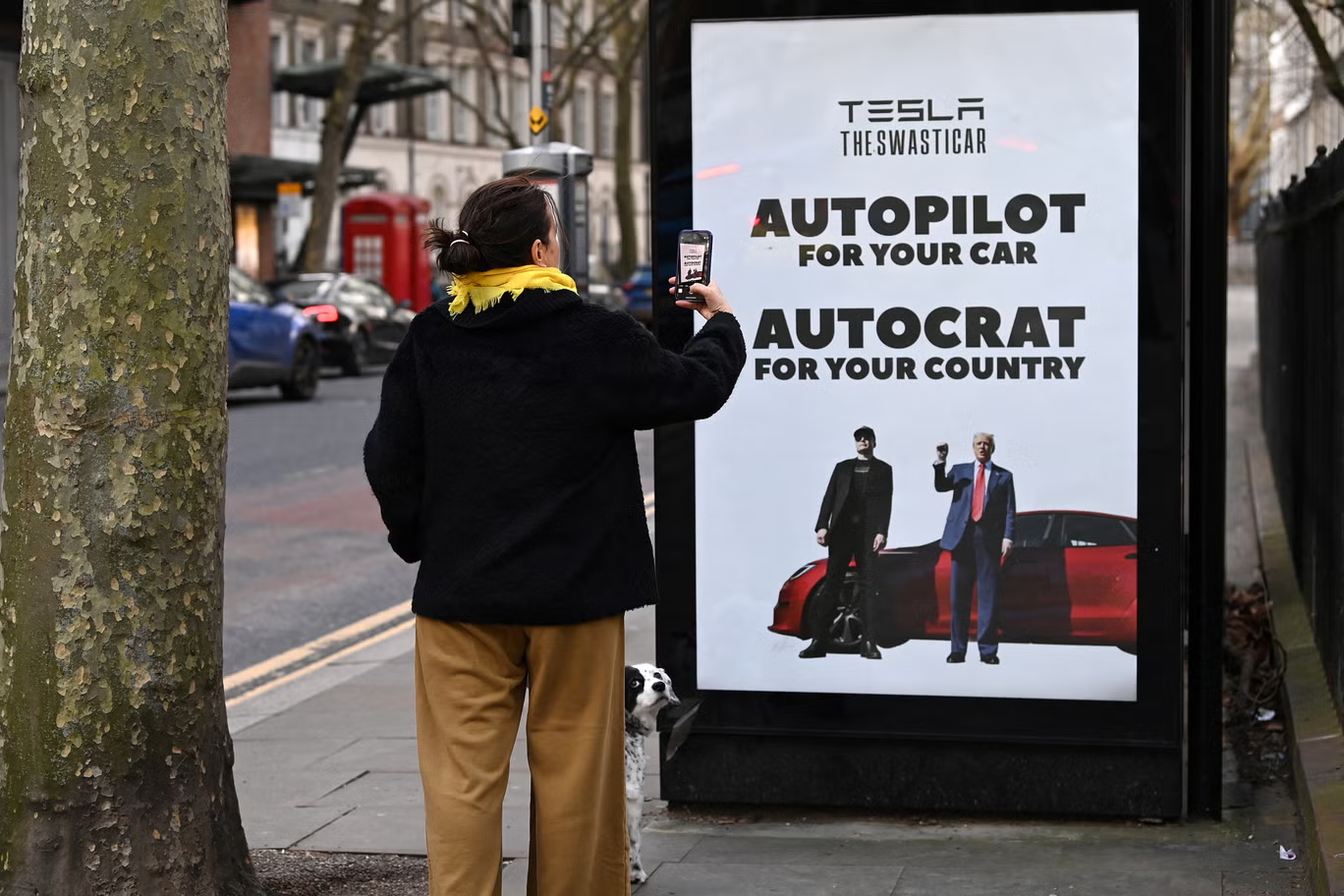 image of bus shelter from outside: tree an left, person taking a picture of the ad on the bus shelter, and the bus shelter with an advertisement on the side that says: TESLA The Swasticar Autopilot for your car Autocrat for your country