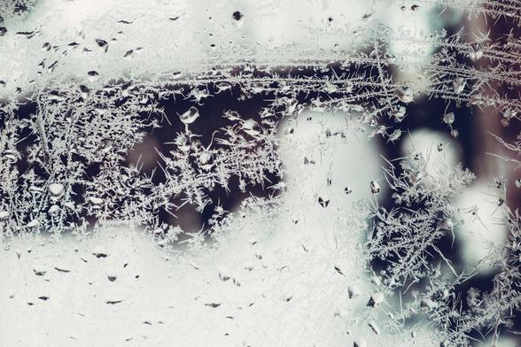 Du givre et de la neige collés à une vitre, comme des rhizomes de glace fragile.