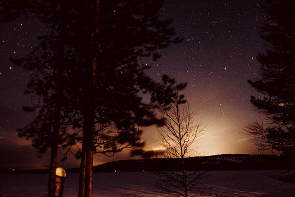 Derrière une colline au loin, le soleil a disparu dans un éclat orangé. Au premier plan deux grands pins sombres. Au dessus, le ciel couvert d'étoiles est violet.
