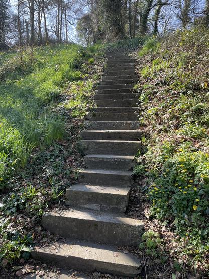 A steep, stone stairway leading up into a forested area. Sunlight filtering through the trees lights up the steep grassy area around the steps.