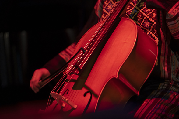 Close-up dell’archetto sulle corde del violoncello di Gokce
