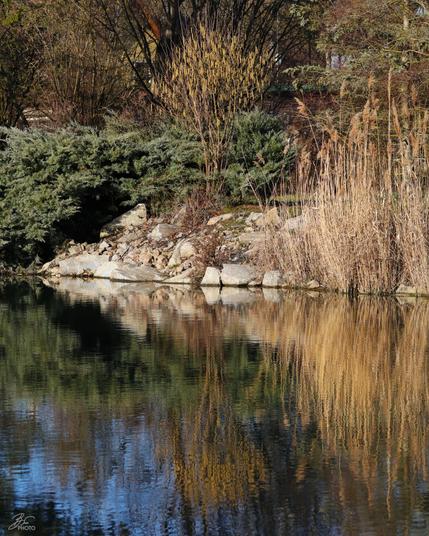 Nature’s Mirror