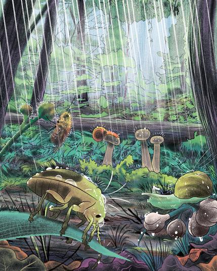 L'épopée de la forêt en 100 épisodes (Bayard Jeunesse - Bertrand Fichou)
épisode 10 - Sous le déluge, la forêt !
2022